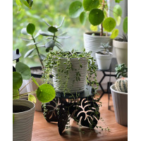 Підставка металева для квітів-вазонів NC Home Leaf чорна