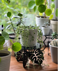 Підставка металева для квітів-вазонів NC Home Leaf чорна