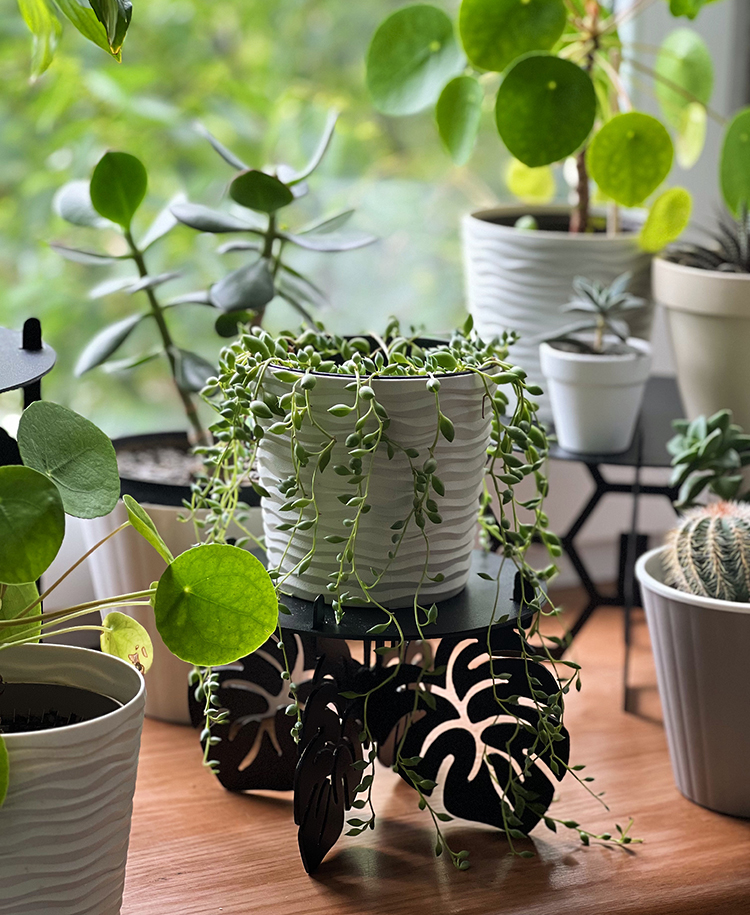 Підставка металева для квітів-вазонів NC Home Leaf чорна