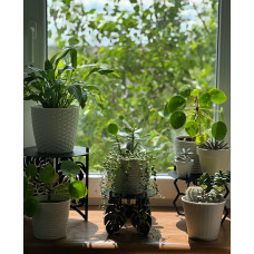 Підставка металева для квітів-вазонів NC Home Leaf чорна