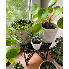 Підставка металева для квітів-вазонів NC Home Plant чорна
